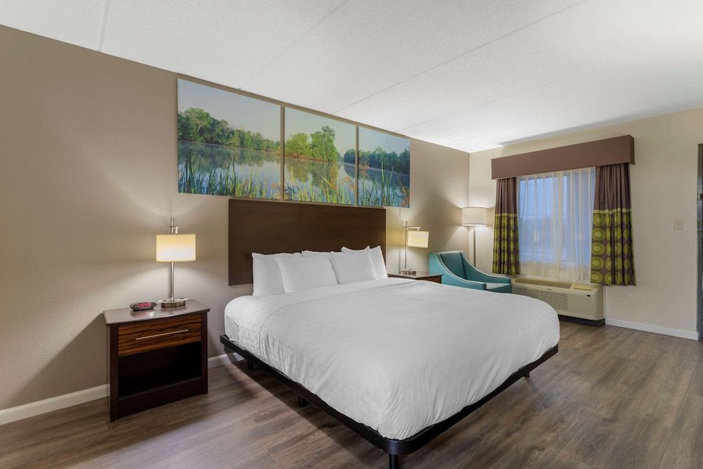 Standard Room, 1 King Bed, Non Smoking