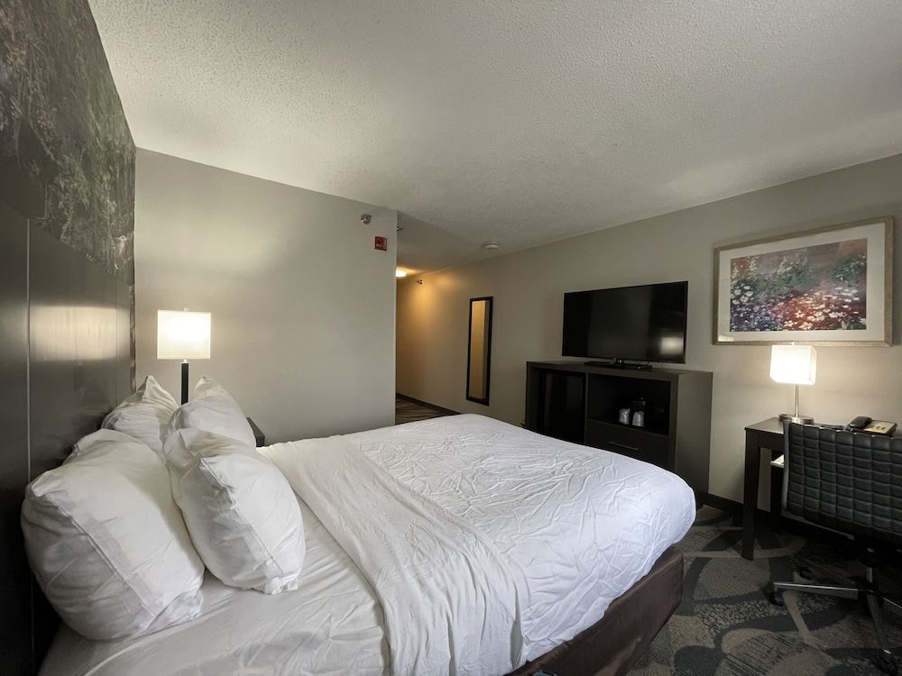 Room, 1 King Bed, Accessible, Non Smoking (Efficiency)