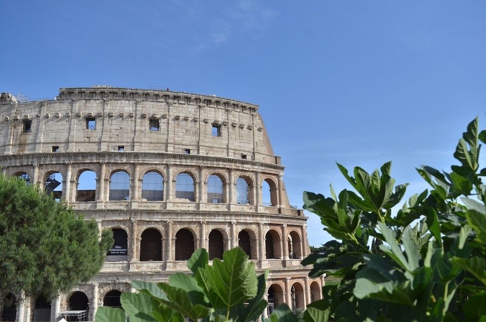 undefined B&B At Your Place 5