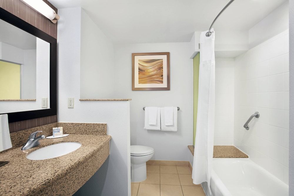 Room, 1 King Bed with Sofa bed (Mobility Accessible, Tub)