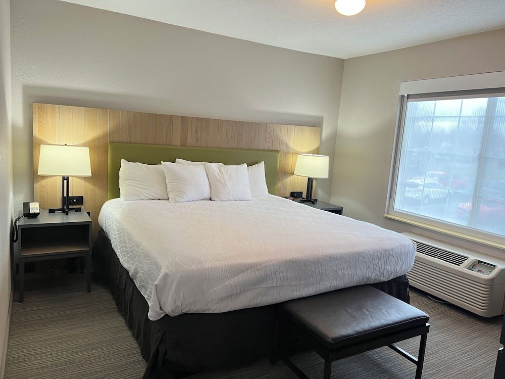 Executive Suite, 1 King Bed with Sofa bed, Non Smoking