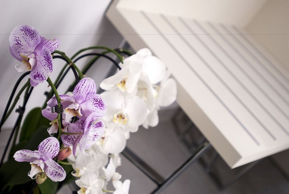 Merulana Holidays Standard Double or Twin Room 13