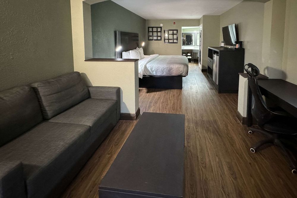 Suite, 1 King Bed with Sofa bed