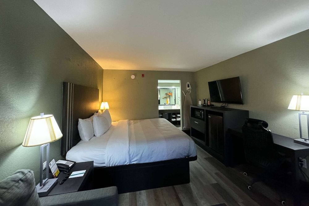 Room, 1 King Bed, Accessible, Non Smoking