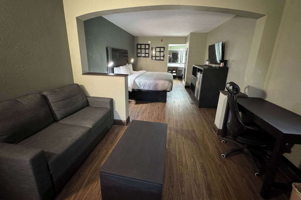 Suite, 1 King Bed with Sofa bed