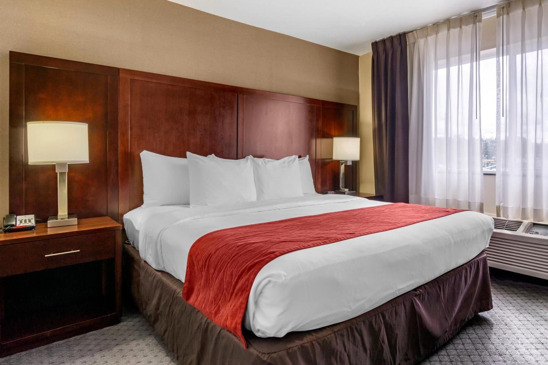 1 King Bed, Nonsmoking, Accessible