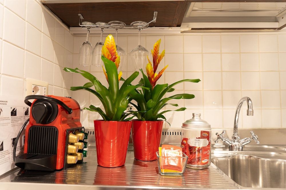 Babuino 79 Deluxe Apartment, 1 Bedroom, City View 6