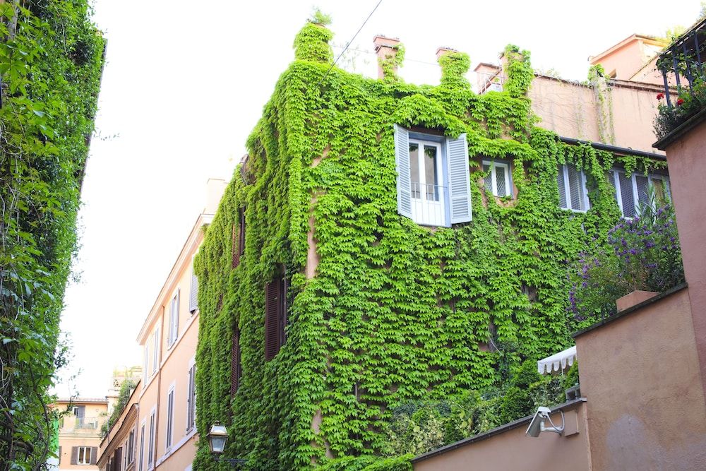 undefined Babuino 79 6