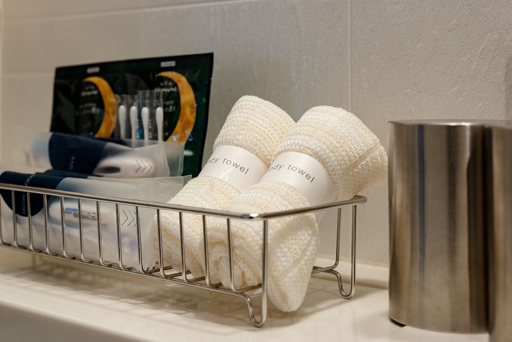 Hotel Resol Nagoya Moderate Double Room (2 Adults) 3