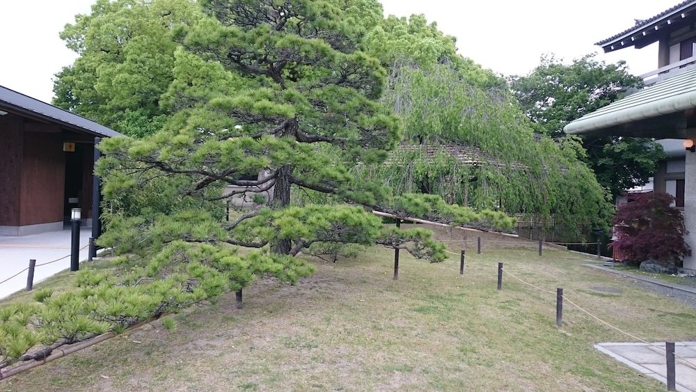 undefined Kyonoyado Senkakubettei 9