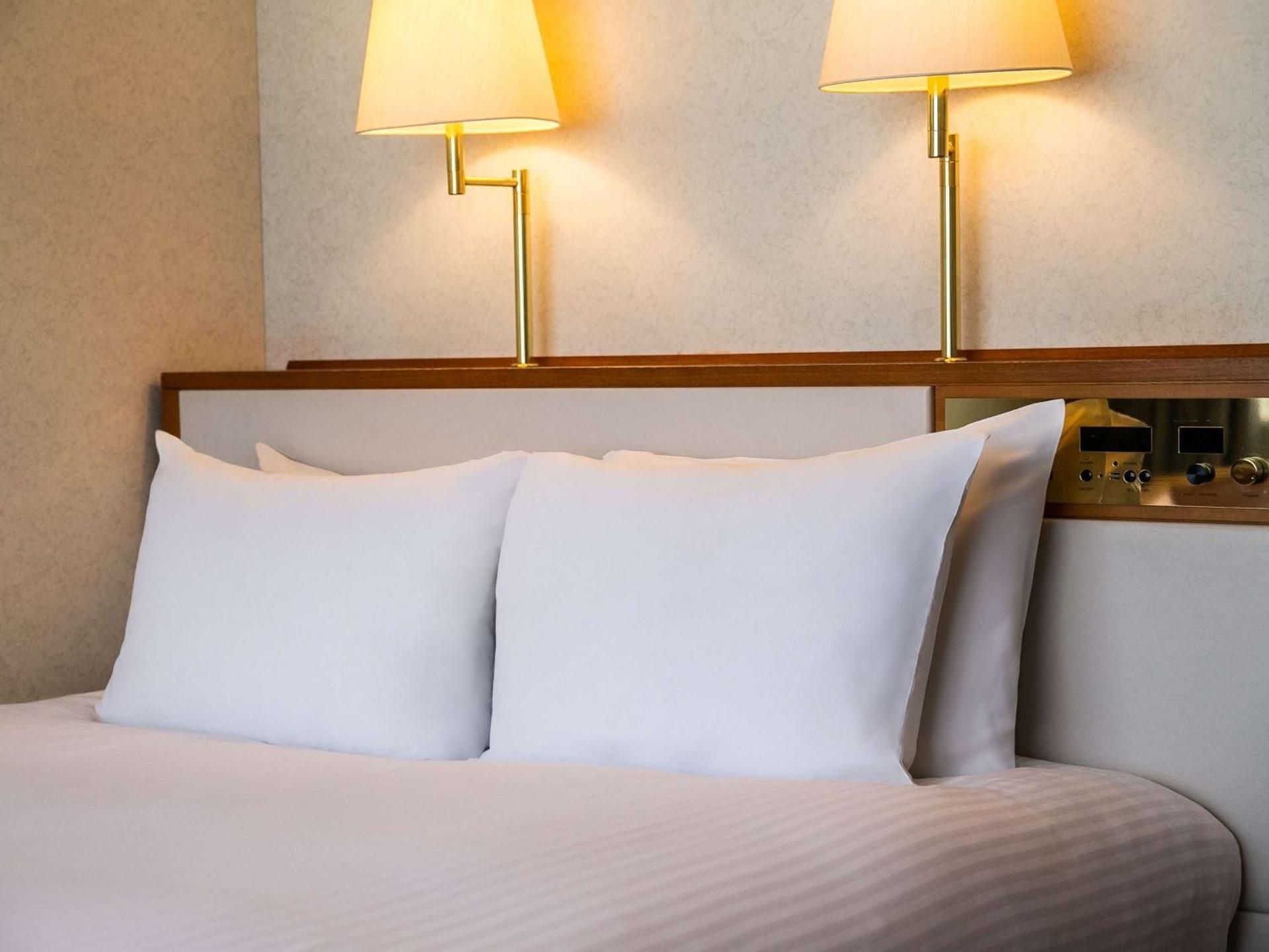 Japanese-Western Style Classic Junior Suite with Mountain View