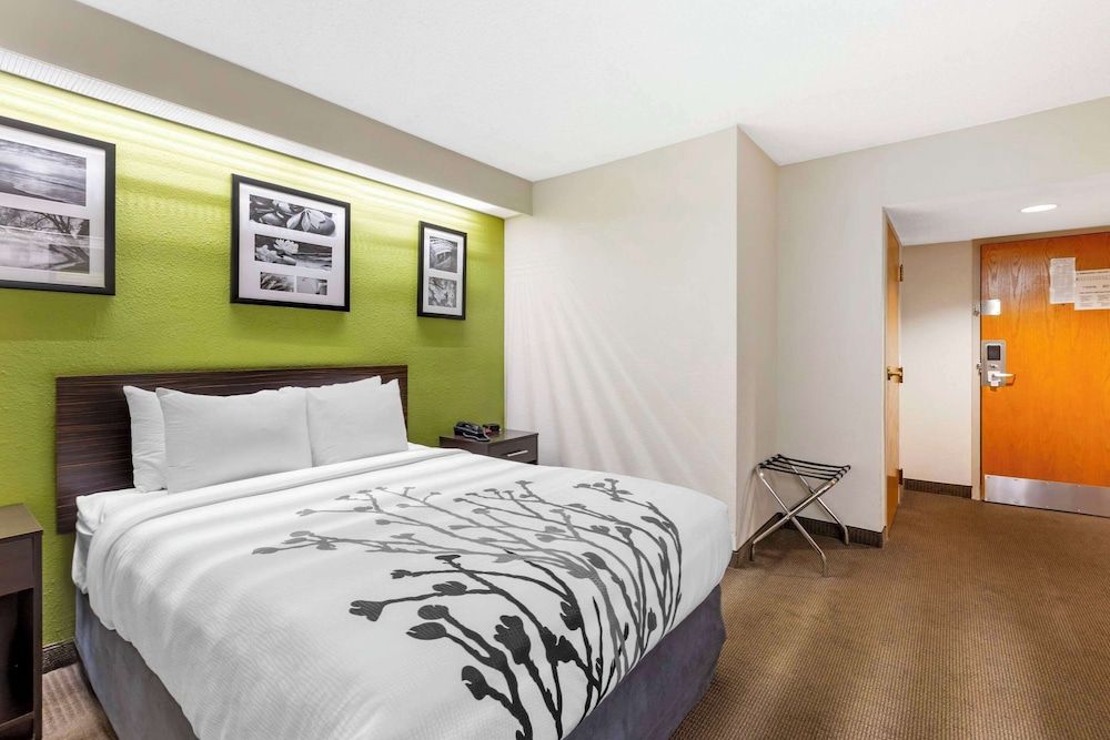 Room, 1 Queen Bed, Accessible, Non Smoking (Mobility, Roll-In Shower)