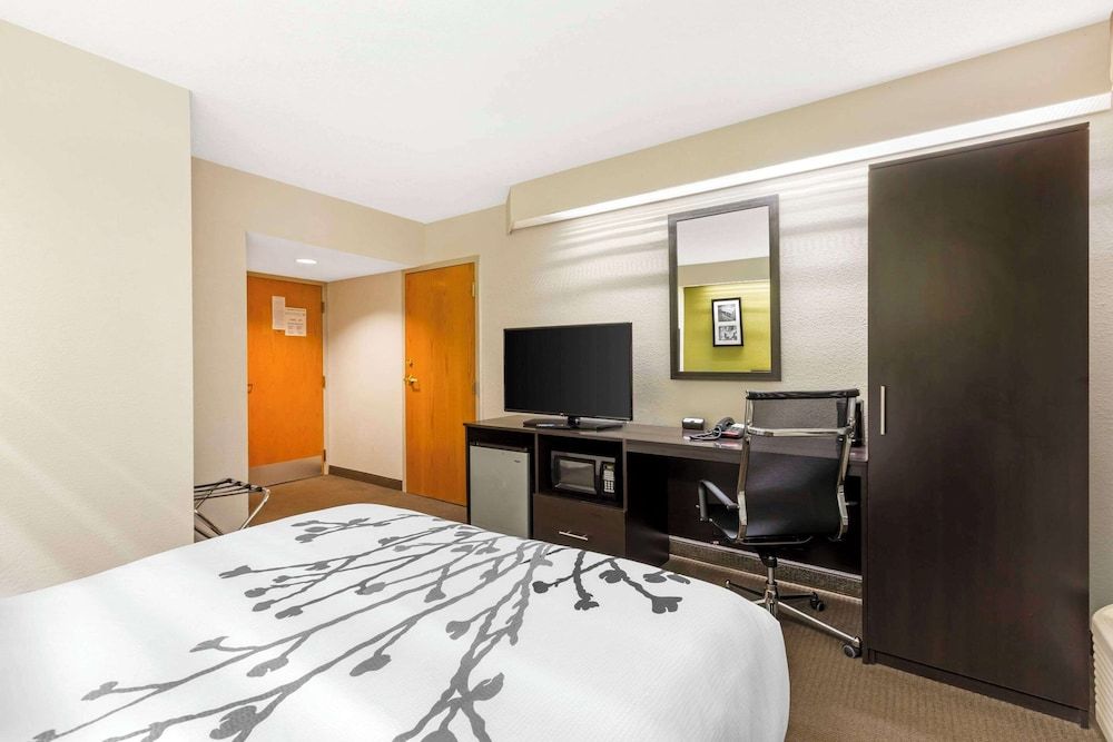 Room, 1 Queen Bed, Accessible, Non Smoking (Mobility, Roll-In Shower)