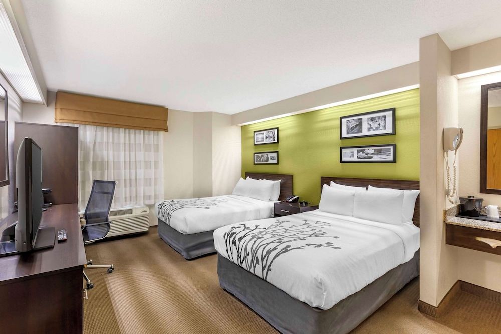 Standard Double Room, 2 Double Beds, Non Smoking