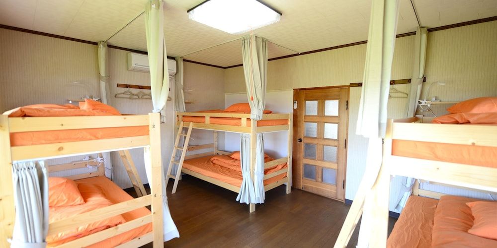 Shared Dormitory, Mixed Dorm