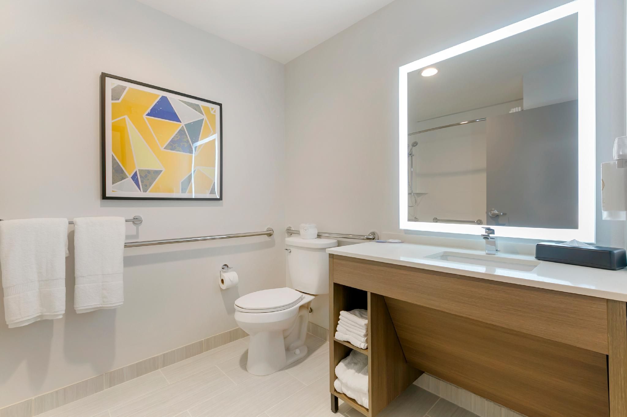 Comfort Inn & Suites Houma 1 King Bed, Nonsmoking 3