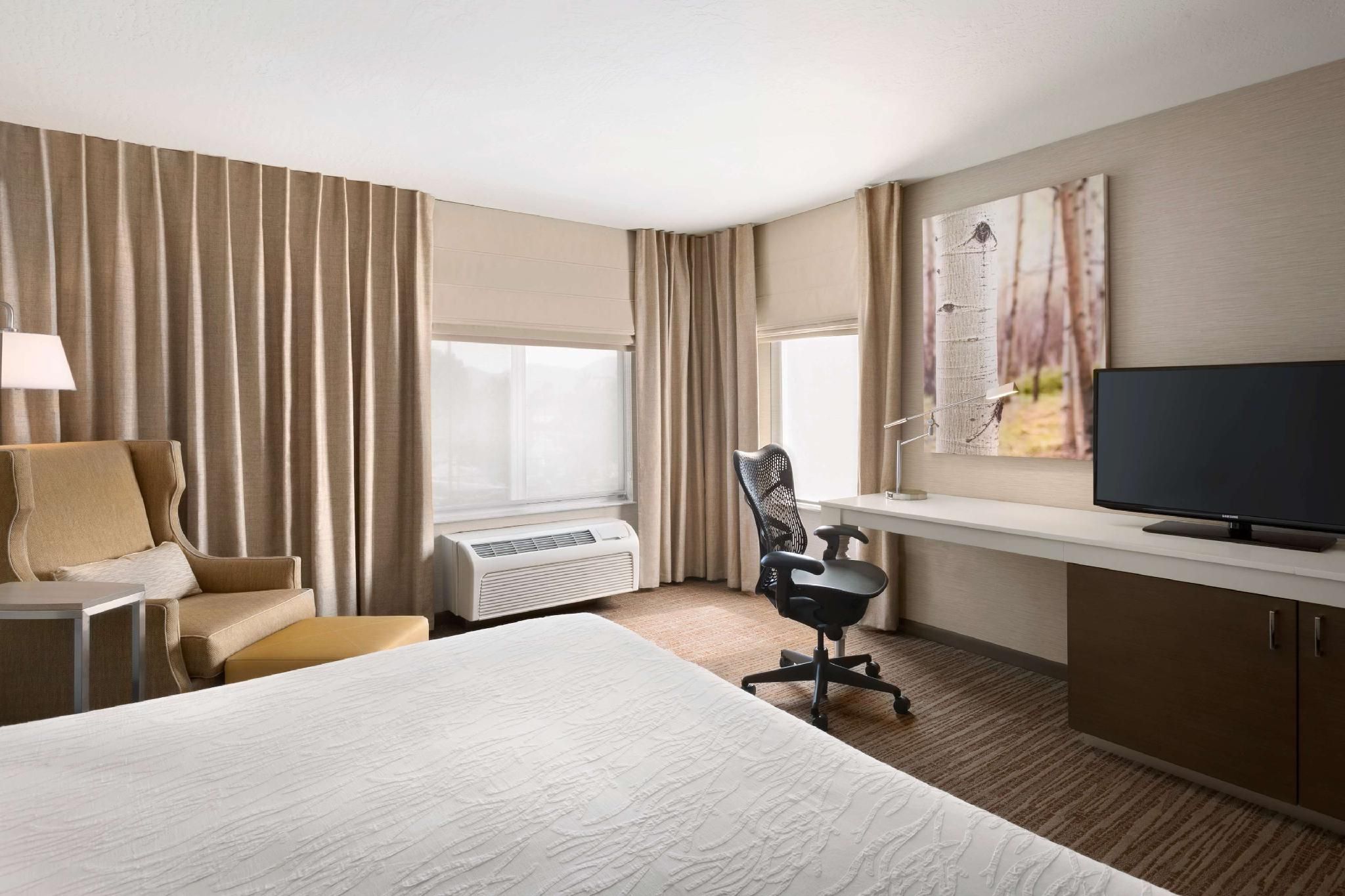 1 KING MOBILITY/HEARING ACCESSIBLE W/ BATHTUB