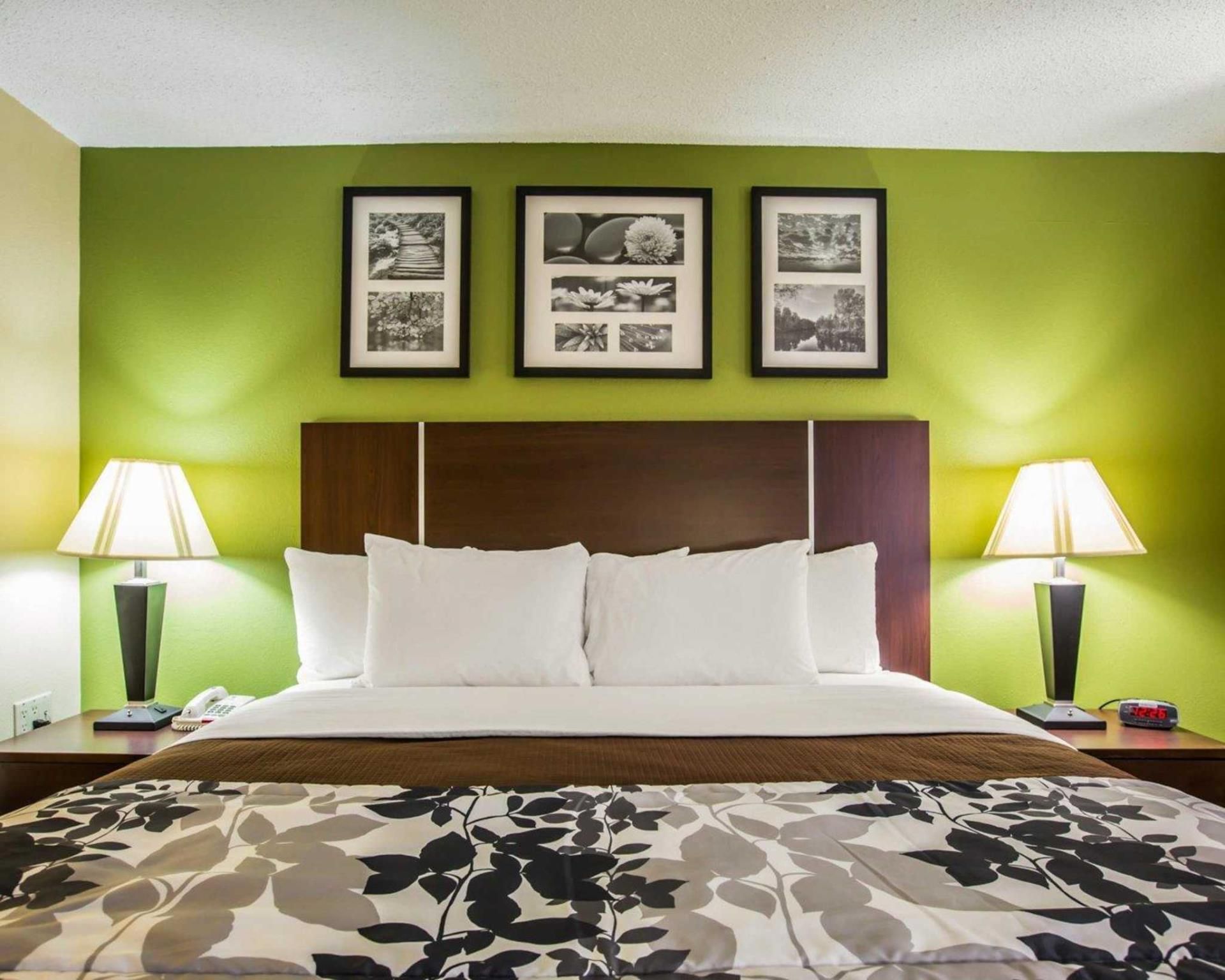 1 King Bed, Nonsmoking