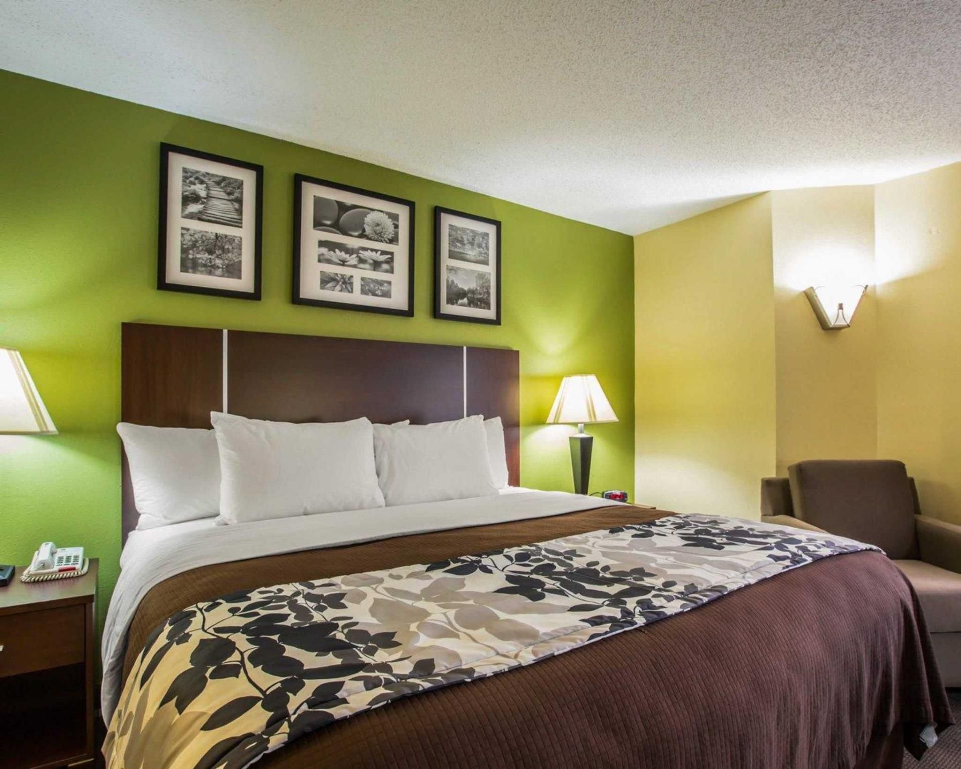 1 King Bed, Nonsmoking