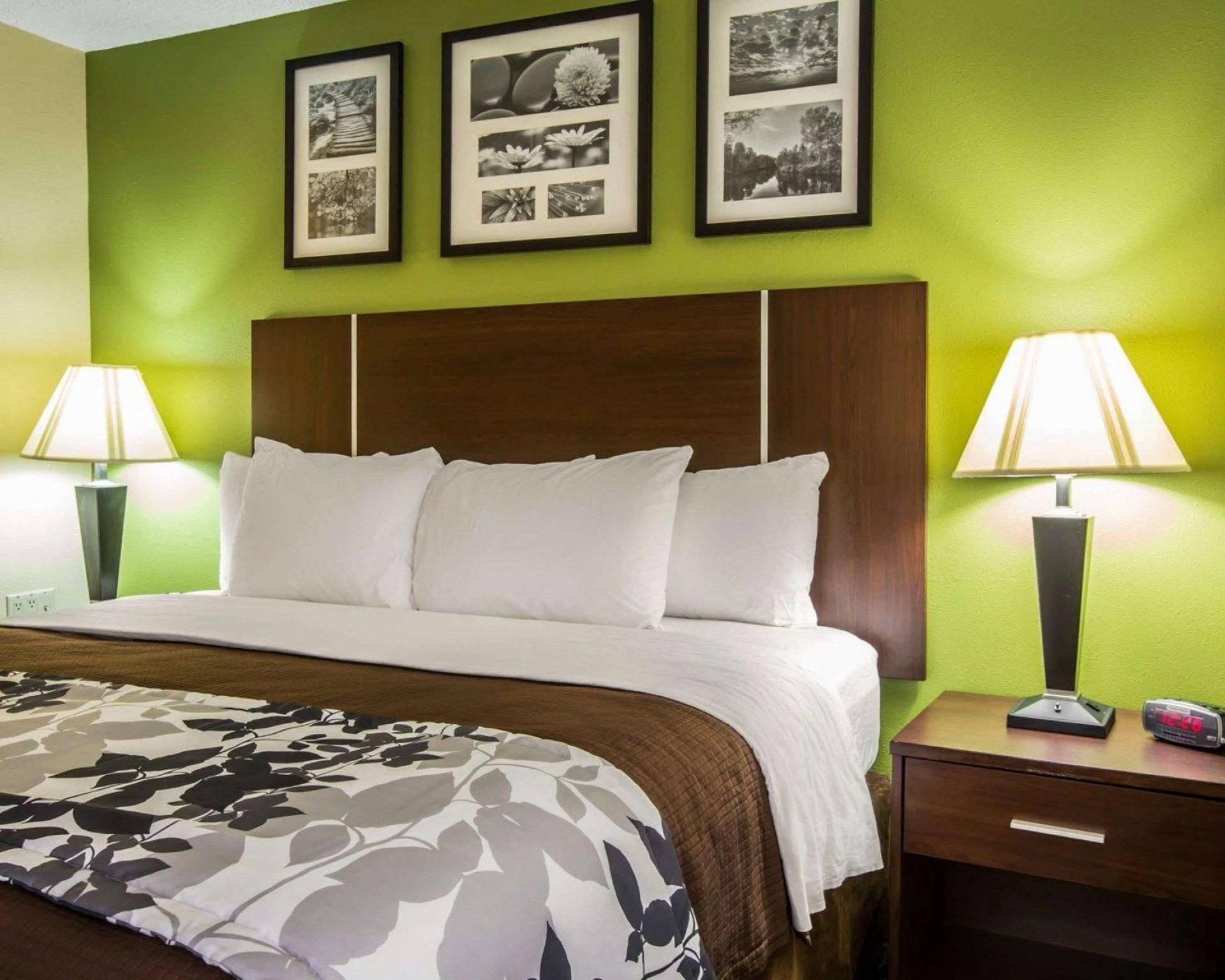 1 King Bed, Nonsmoking, Accessible