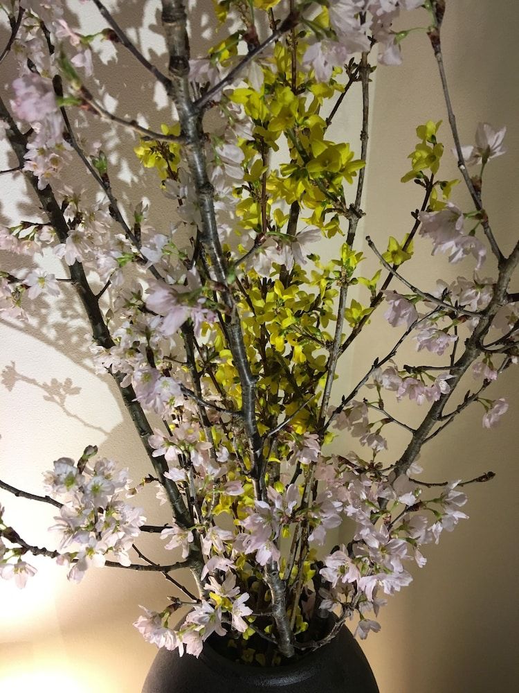 Your Pavilion near Kinkakuji Furnished townhouse (for 1 group) with island kitchen and free bicycles 6