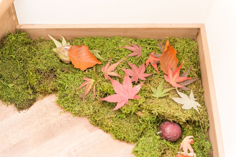 undefined Your Pavilion near Kinkakuji 8