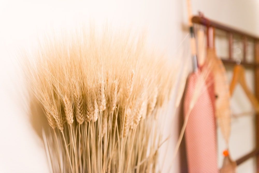 undefined Your Pavilion near Kinkakuji 10