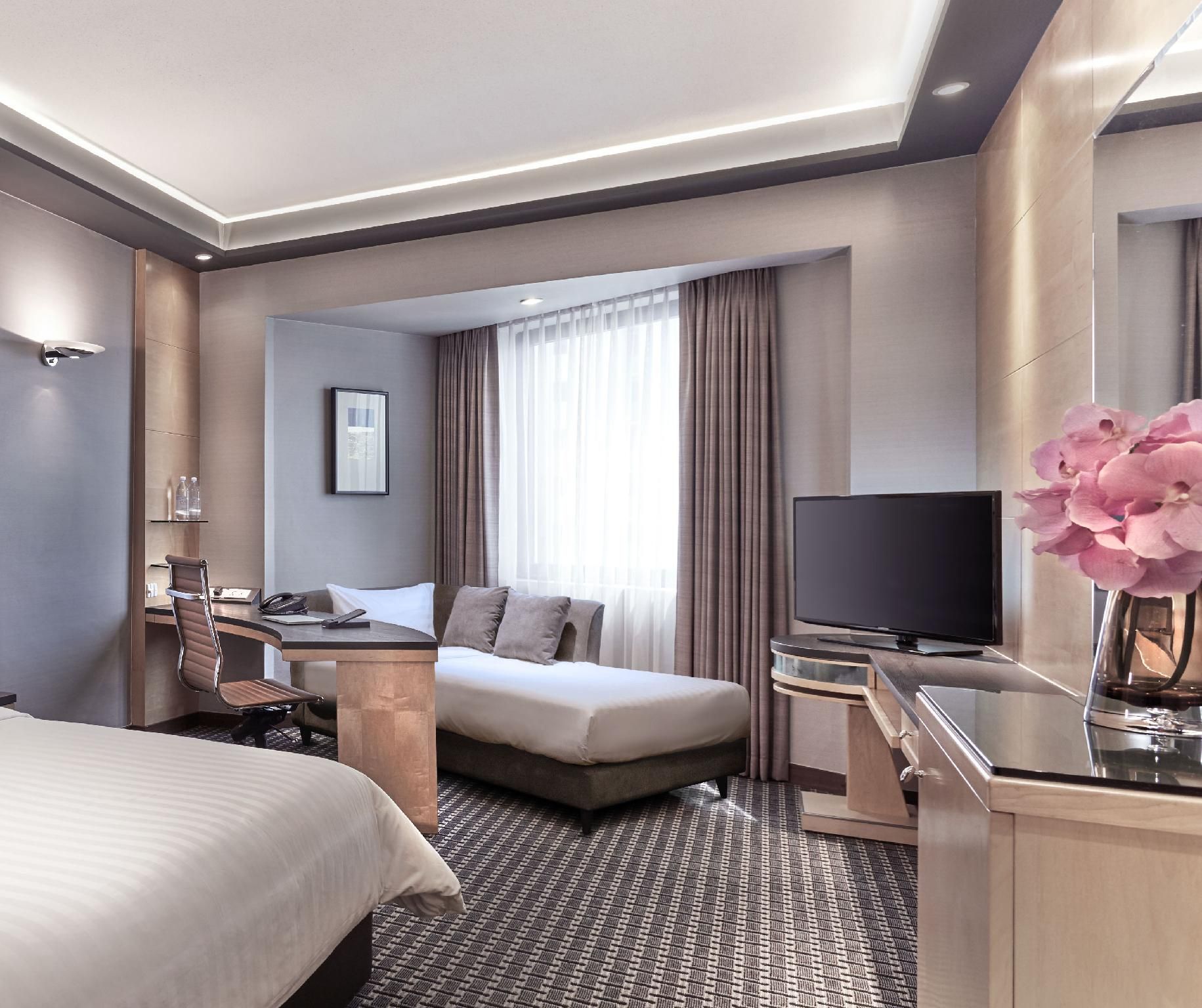 Premier with One King Bed and One Sofa Bed
