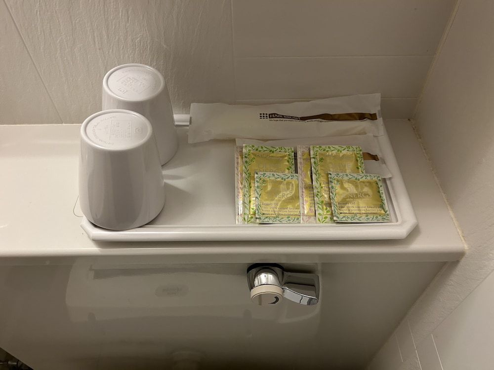 Matsumoto Ryokan Twin Room 5