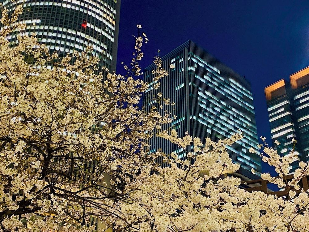 undefined Nagoya JR Gate Tower Hotel 10