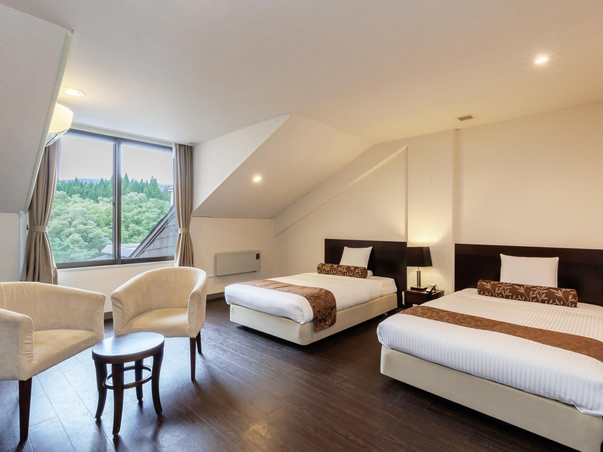 Deluxe Twin Non- Smoking Room
