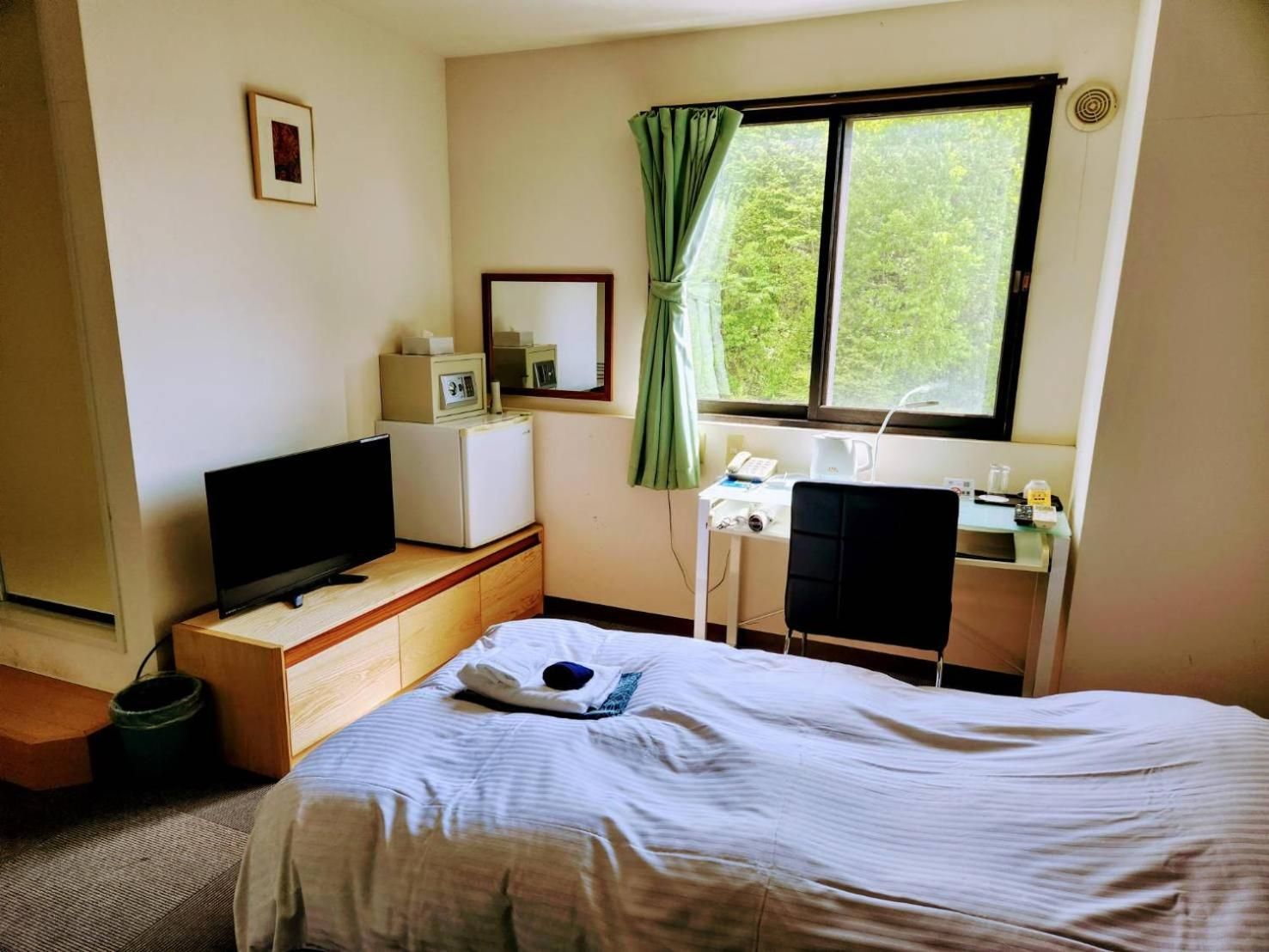 Single Room - Mountain View