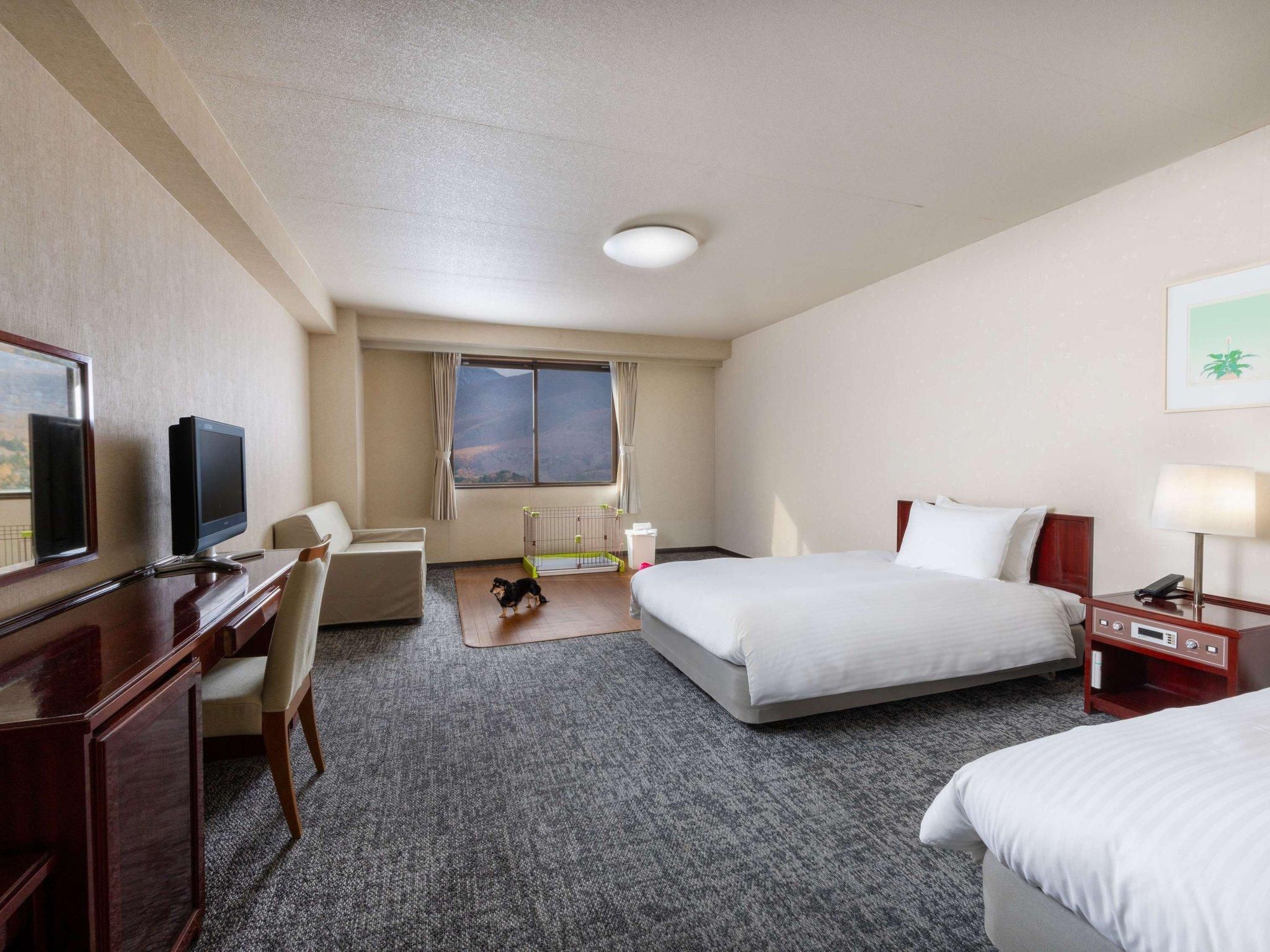 Classic Room with 2 single beds and 1 extra bed , Dog-friendly