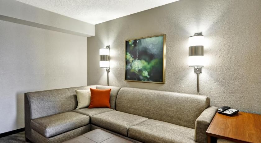 Hyatt Place Las Vegas Accessible King Bed/tub 9