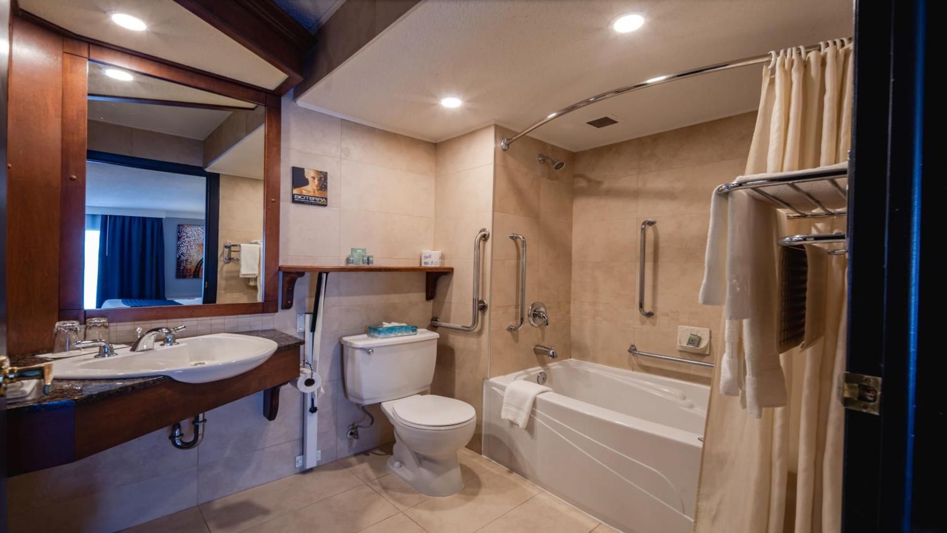 Accessibility - 1 King, Bathtub, Nonsmoking