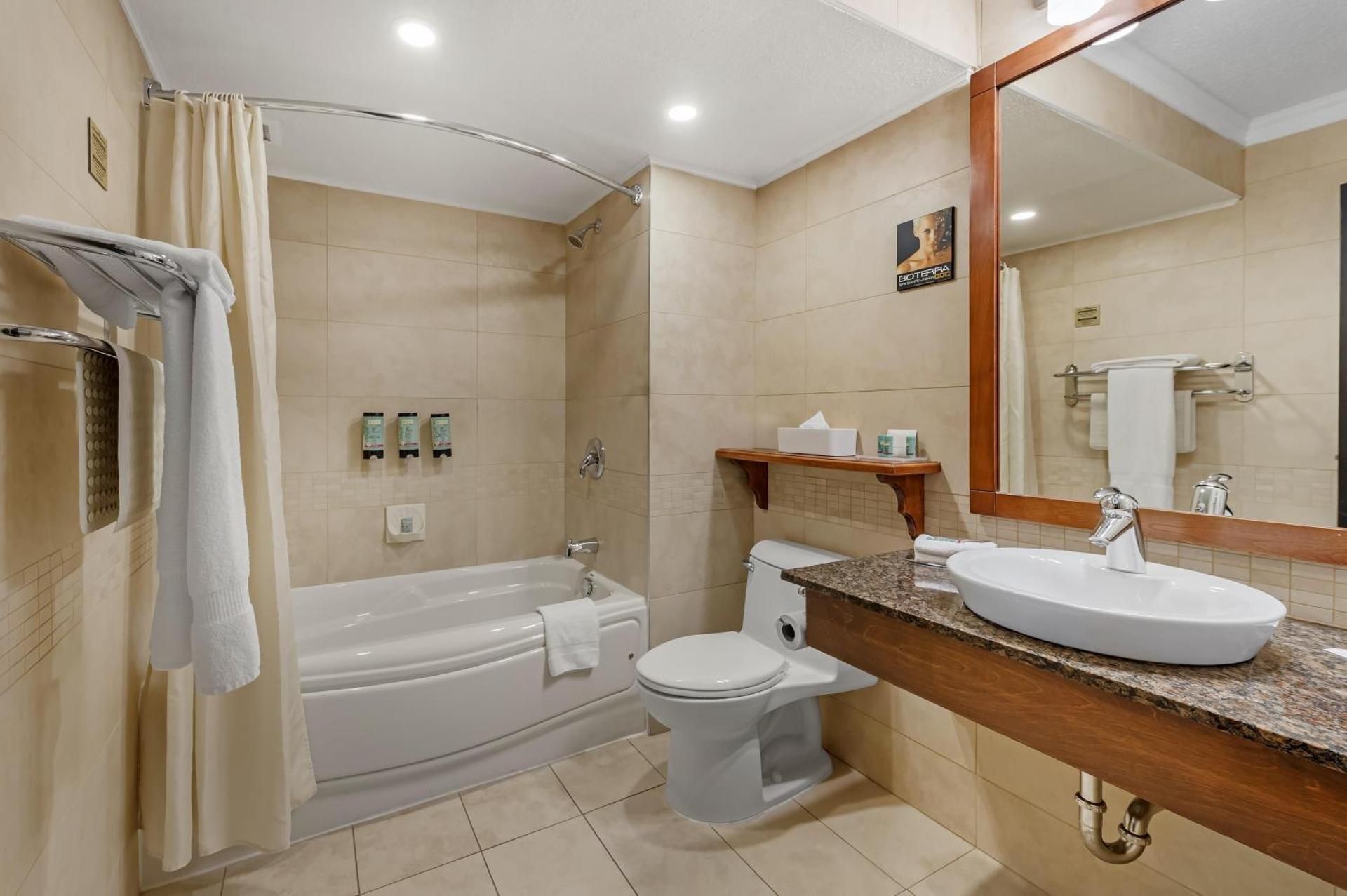 Suite - 1 Queen Bed, Nonsmoking