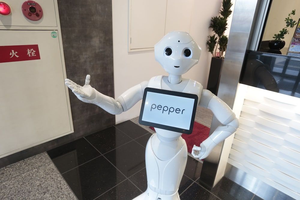 undefined Hotel Sunplaza 8