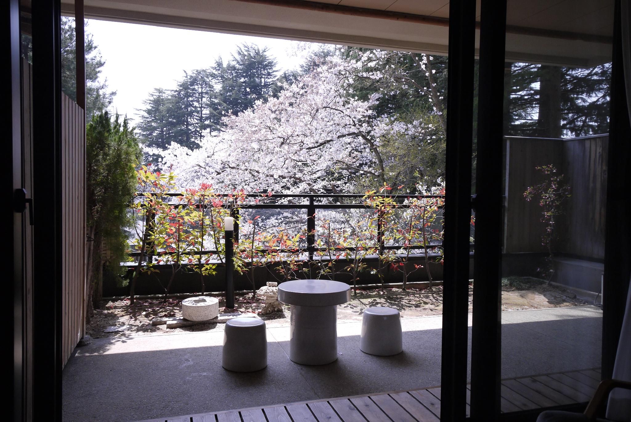 Superior Japanese Style Room with Open-Air Bath