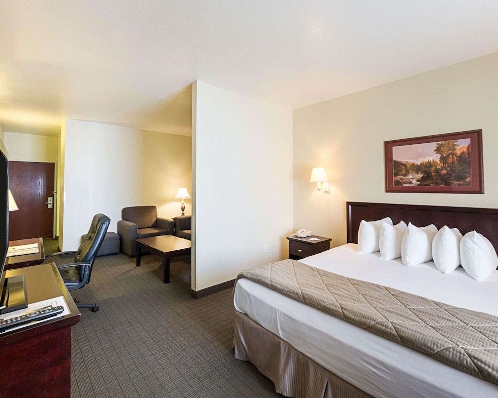 Suite, 1 King Bed with Sofa bed, Non Smoking