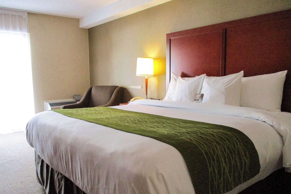 Room, 1 King Bed, Non Smoking
