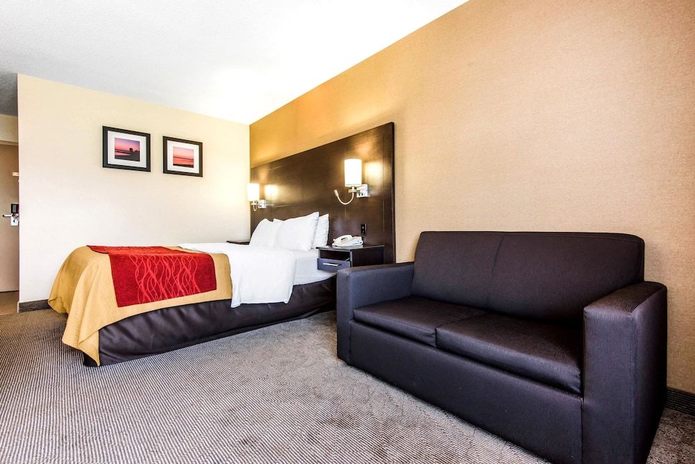 Comfort Care, Standard Room, 1 Queen Bed with Sofa bed, Non Smoking