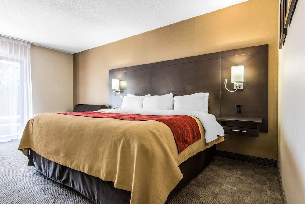 Standard Room, 1 King Bed, Non Smoking