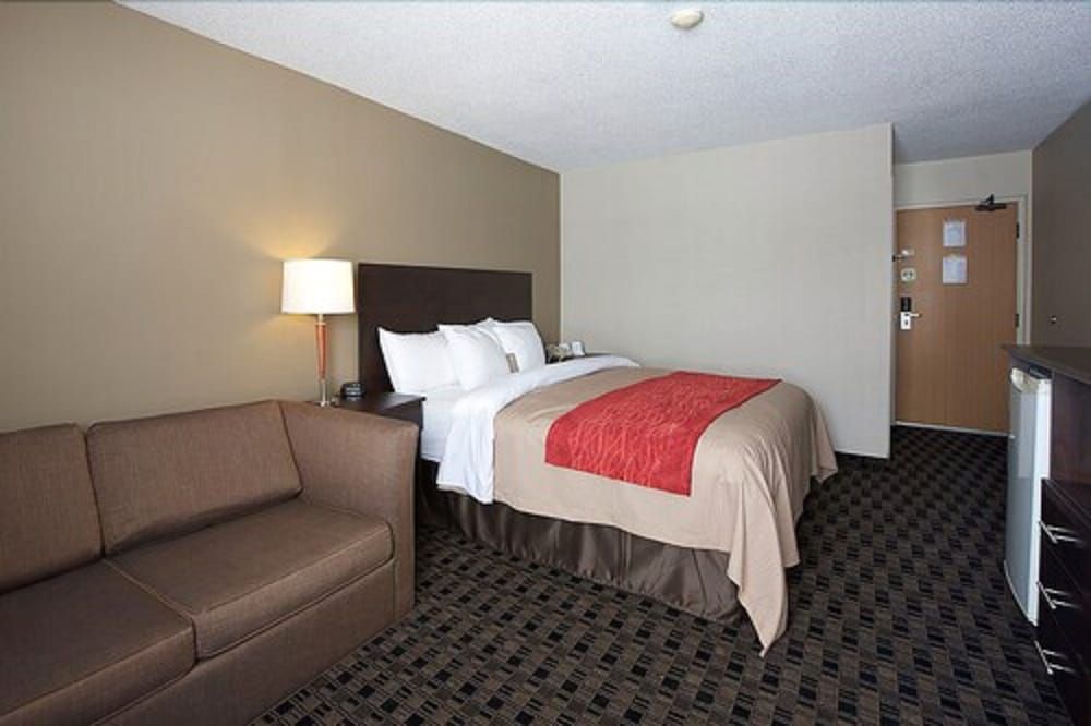 Standard Room, 1 King Bed, Non Smoking