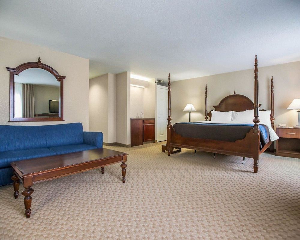 Standard Room, 1 King Bed with Sofa bed, Non Smoking