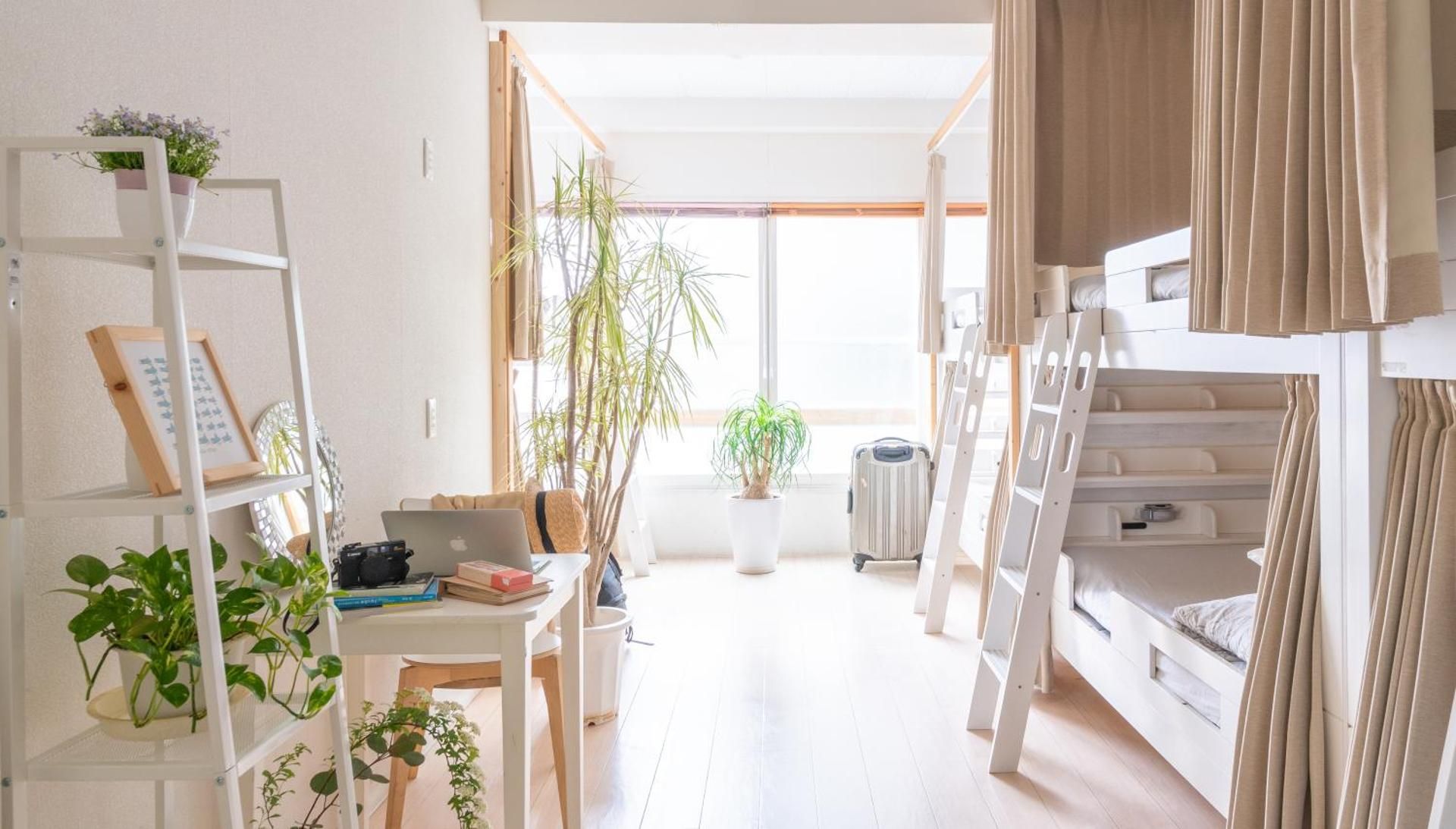 2 People in 8-Bed Dormitory - Female Only