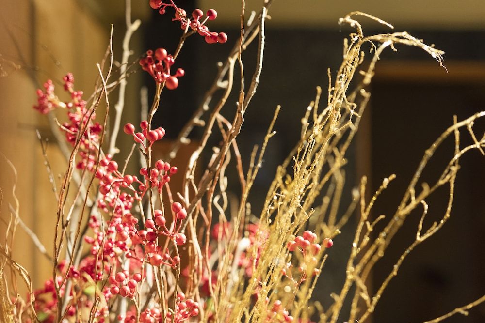 undefined Yushintei 7