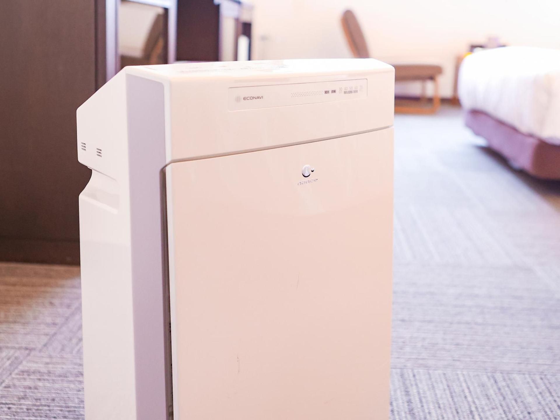 Japanese-Style Large Room - Non-Smoking