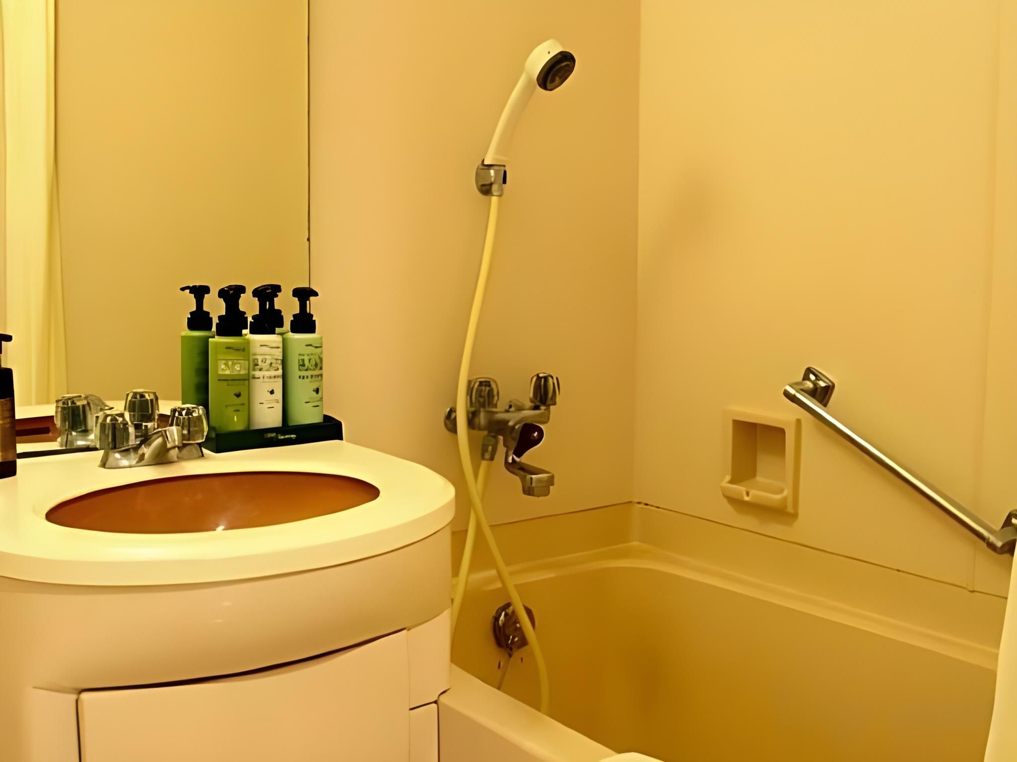 Standard Twin (Non-smoking)