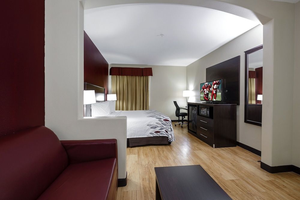 Suite, 1 King Bed with Sofa bed, Non Smoking