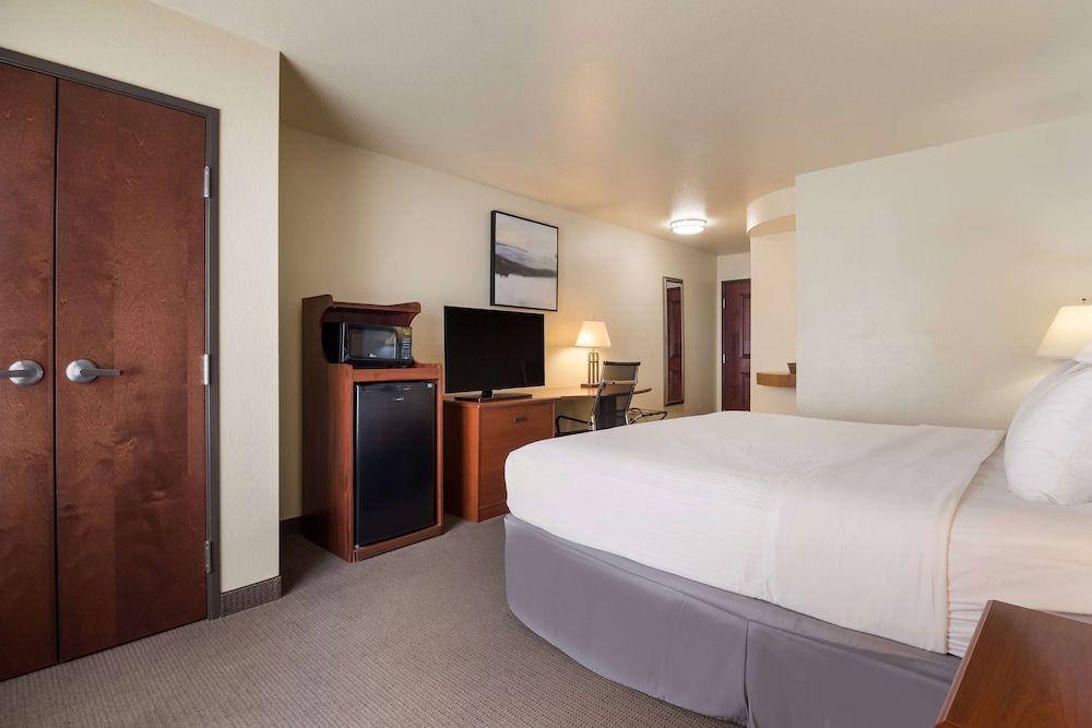 Standard Room, 1 King Bed, Non Smoking, Refrigerator & Microwave (Walk-in Shower)
